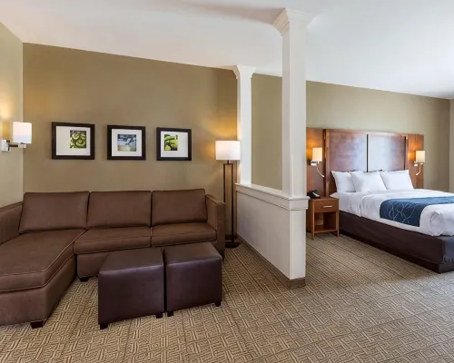 Comfort Suites Hartville-North Canton Hotels in Stark County