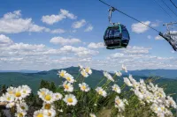 Family Paradise: White Mountains Summer Retreat