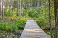 Creek Cabin - Fly-in Acres Lake Access - private Creek access with fire pit