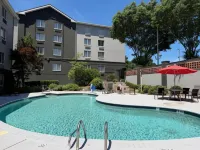 La Quinta Inn & Suites by Wyndham Birmingham Homewood - Pools