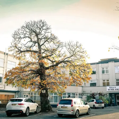 Hotel Celebrity Bournemouth East Cliff by Villare Hotels