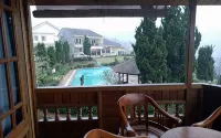 The Anty Resort