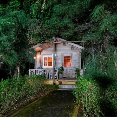 Lotus an Eco Resort Konark