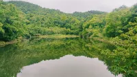 Foresta Villa - 3 Yıldız