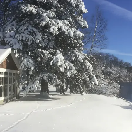 Unique Waterfront Cabin on High Falls Flowage