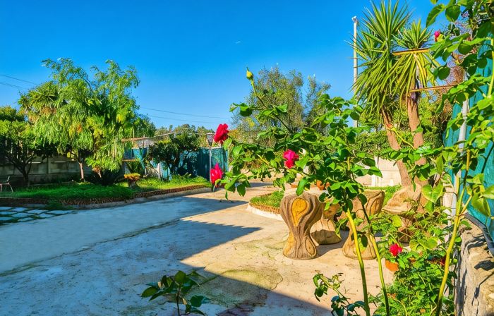 Villa with Garden Near the Sea - 6 Places - Between Amalfi Coast and Cilento