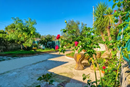 Villa with Garden Near the Sea - 6 Places - Between Amalfi Coast and Cilento