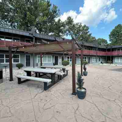 Chic & Cozy Plaza Midwood Gem-1 bedroom condo with A/C Hotel Exterior