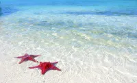 Cayman Breeze, Oceanfront Condo 2Br/2BA, with Pool, Near Rum Point - Bãi biển