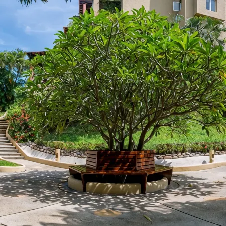 Luxury And Peaceful Little Condo With Direct Access To The Beach