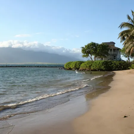 Tracy's Tropical Treasure #1 Earned "Best in Kihei" Four Times and 1 in Maui”
