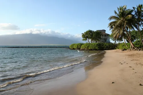 Tracy's Tropical Treasure #1 Earned "Best in Kihei" Four Times and 1 in Maui” - 3-Star