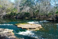 Top Rated Rental in Steinhatchee, Affordable, Convenient, Comforts of Home. - 4-Star