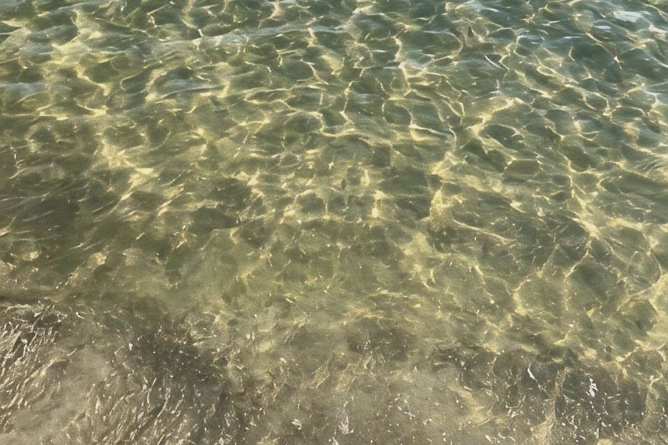 Photo 6 of 6