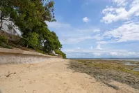 Dive Spot Asia & Brumini Beach Resort - Beach