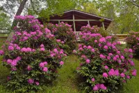 QUAINT MOUNTAIN COTTAGE-BREATH TAKING VIEWS-1.5 MILES TO DOWNTOWN WAYNESVILLE - 4-Star