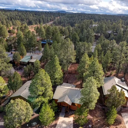 Bear Haven! 2 Bedroom Show Low Cabin!