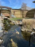 Cali king beds. Best of Nicholasville! Koi pond relaxing backyard. 3 bed 2 bath - 3-Star