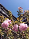 โรงแรมบ้านสวนเทียนตี้จี๋เซียง - โรงแรมราคาถูก