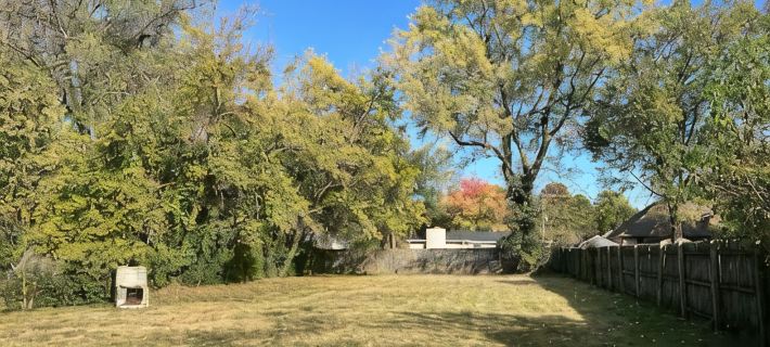 Cozy & Charming 3-bedroom cottage in Springfield - Great Location! Pet friendly! Hotels in Springfield
