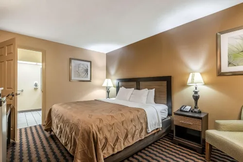 Quality Inn Decatur River City - Pet-friendly
