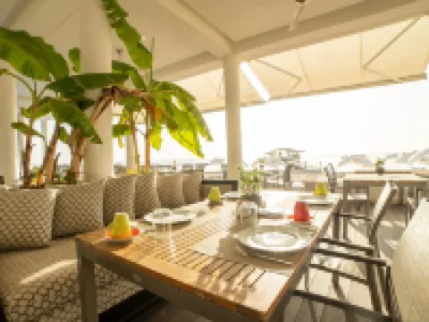 阿爾金棕櫚灘酒店 法馬古斯塔酒店