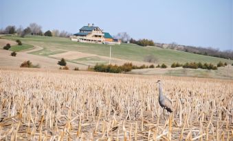 Comstock Premier Lodge LLC