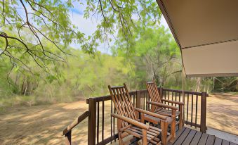 Kruger Adventure Lodge