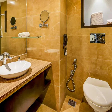 Hotel Delite Grand