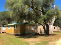 Camping Dolce Vita - que admiten mascotas