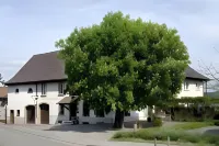 Restaurant-Hotel Maien Hotels in Вайль-на-Рейні