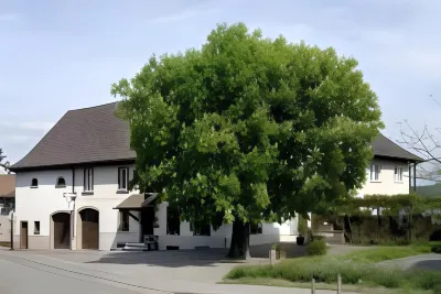 Restaurant-Hotel Maien Hotels in Eimeldingen