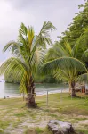Suntai Villa Resort Hotels in Si Rusa