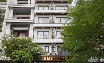 3. Azumaya ..