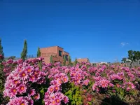 Seogwipo Tre Pension