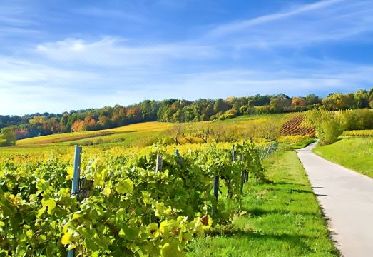 2. 아멜리에 호텔 ..