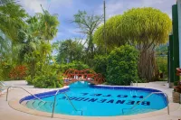 Arenal Paraiso Resort Spa & Thermo Mineral Hot Springs - Pool