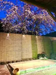 Fuji-Hakone Guest House - vasca da bagno