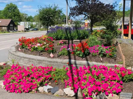 Town & Country Motel