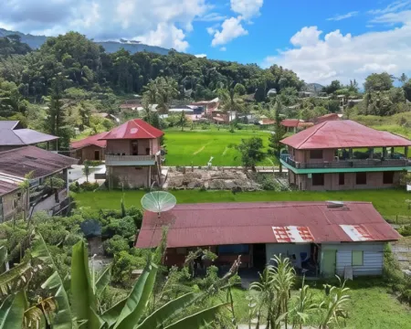 Matraville Home Stay Lake Toba Hoteles en Simanindo