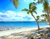 Dany Island