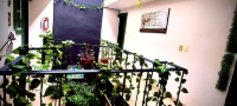 Mini Hotel San Luis Potosí - Haustierfreundliche