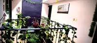 Mini Hotel San Luis Potosí