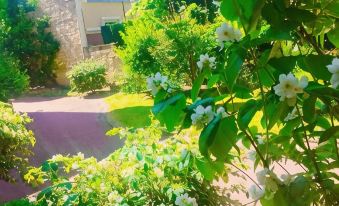 Appartement entier à Neuilly-sur-Seine