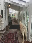 Eidfjord Gjestgiveri Hotels in Eidfjord