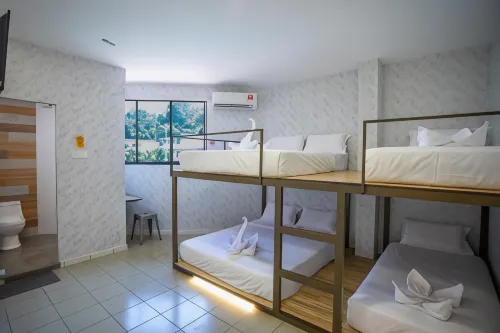 Lazy Cat Home at Gaya Street - Guest houses