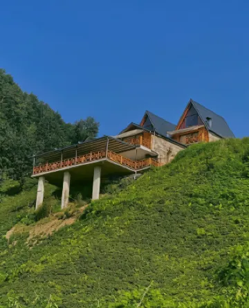 Pugari Hotel Hotels in 