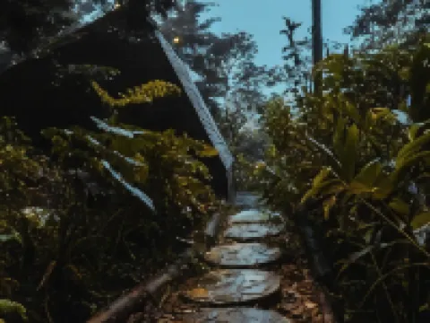 OCULTO REFUGIO DE BOSQUE Hoteles en Envigado