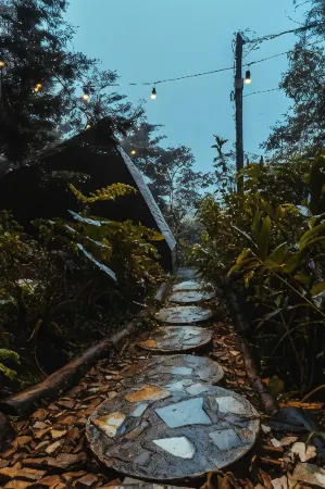 Oculto Refugio de Bosque