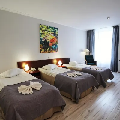 A1 Hotel Riga City Center Hotels near Grizinkalns